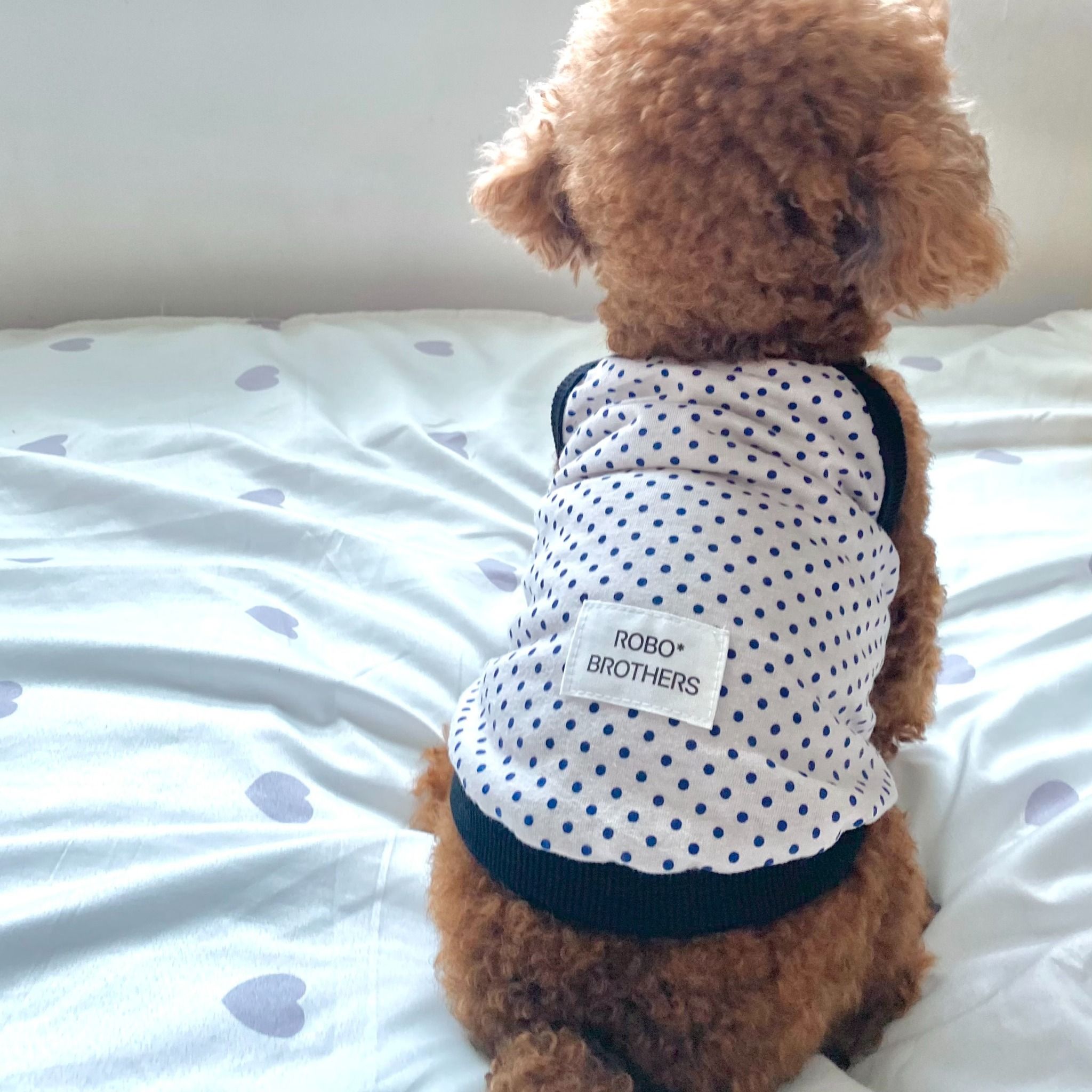  Áo dây DOLLY TOP 2 màu Robo 