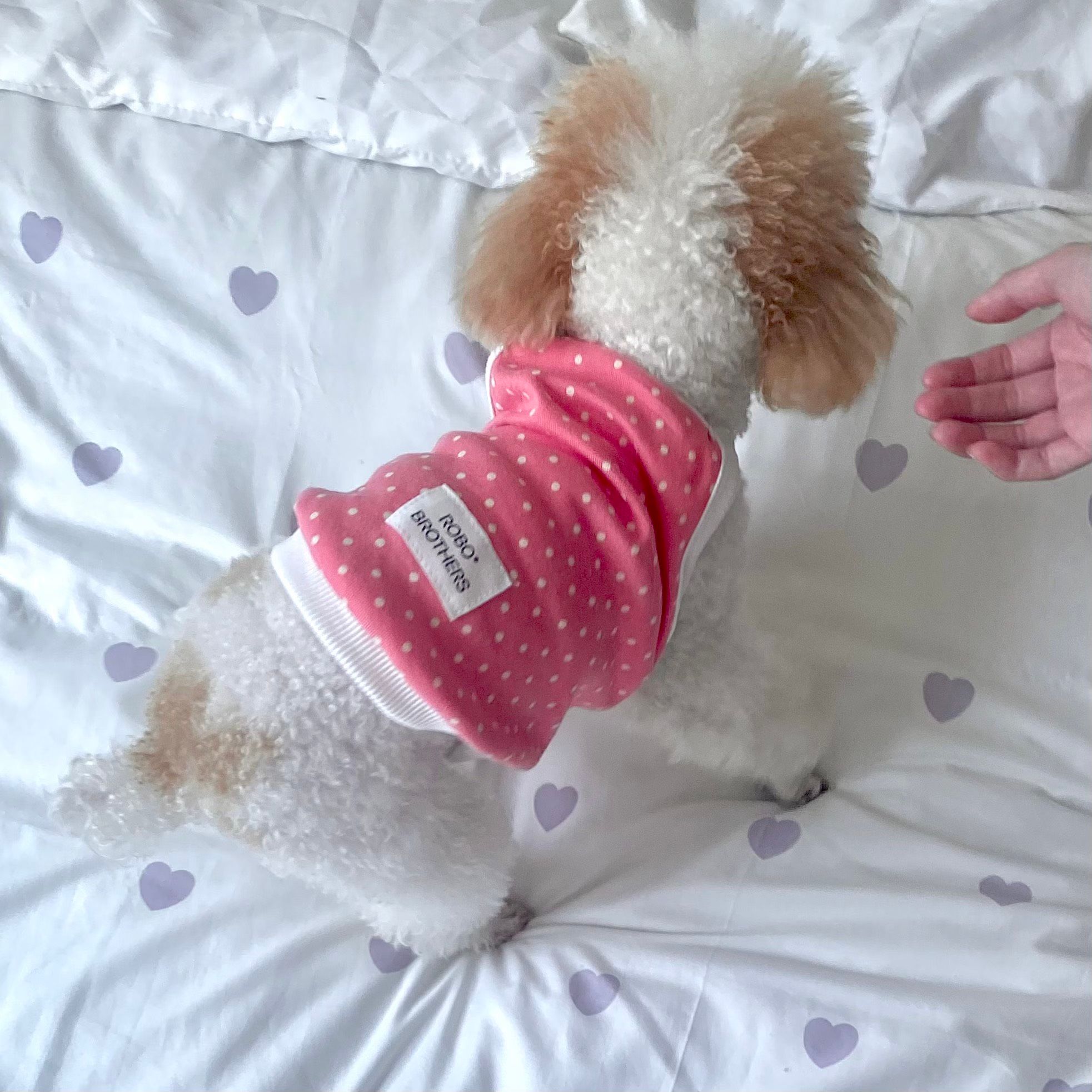  Áo dây DOLLY TOP 2 màu Robo 