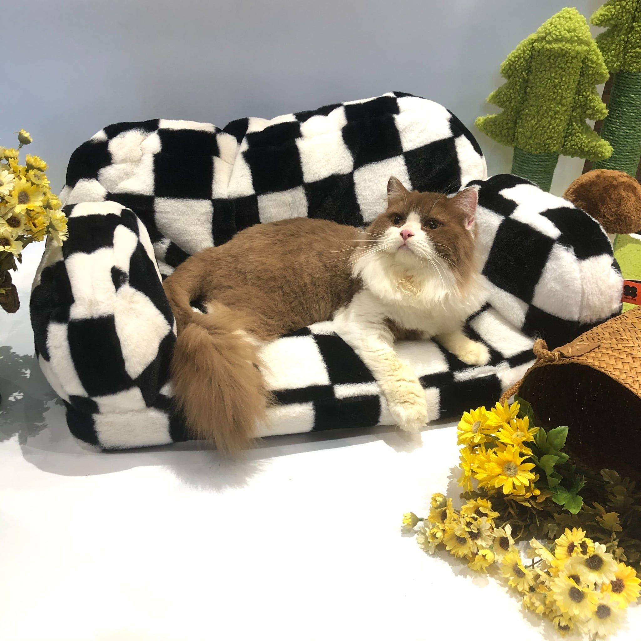  Sofa họa tiết cho thú cưng 