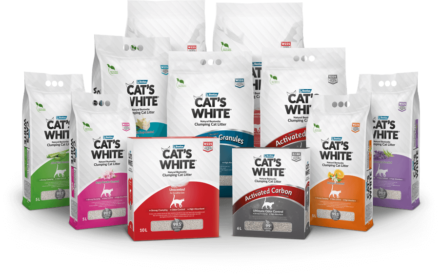  Cát vệ sinh cho mèo Cat's White 5L 