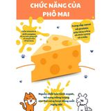  Bánh thường phô mai viên & khoai lang 