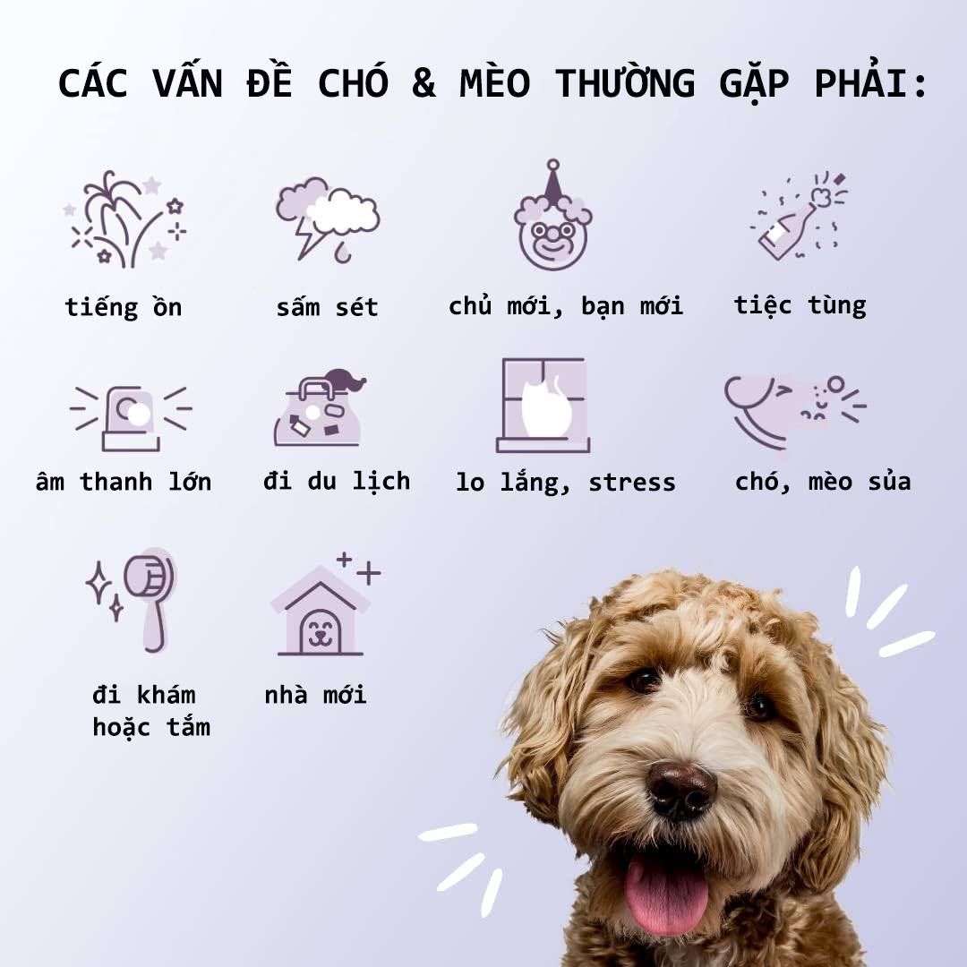 Bột hỗ trợ giảm stress cho chó mèo –Fera Pets Orgarnics Calming 