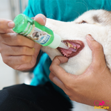  Gel làm sạch răng cho chó FreshBreath 