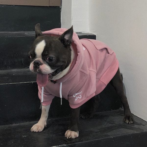  Áo Bemine hoodie Pawsee 