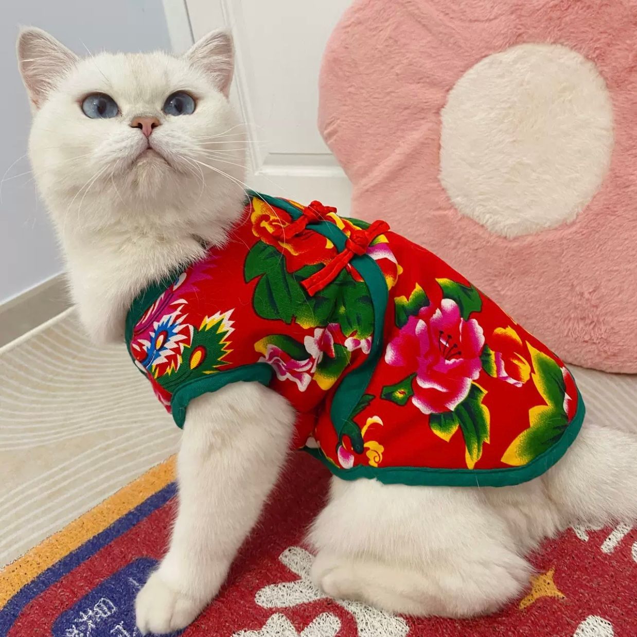  Áo sườn xám cho thú cưng 