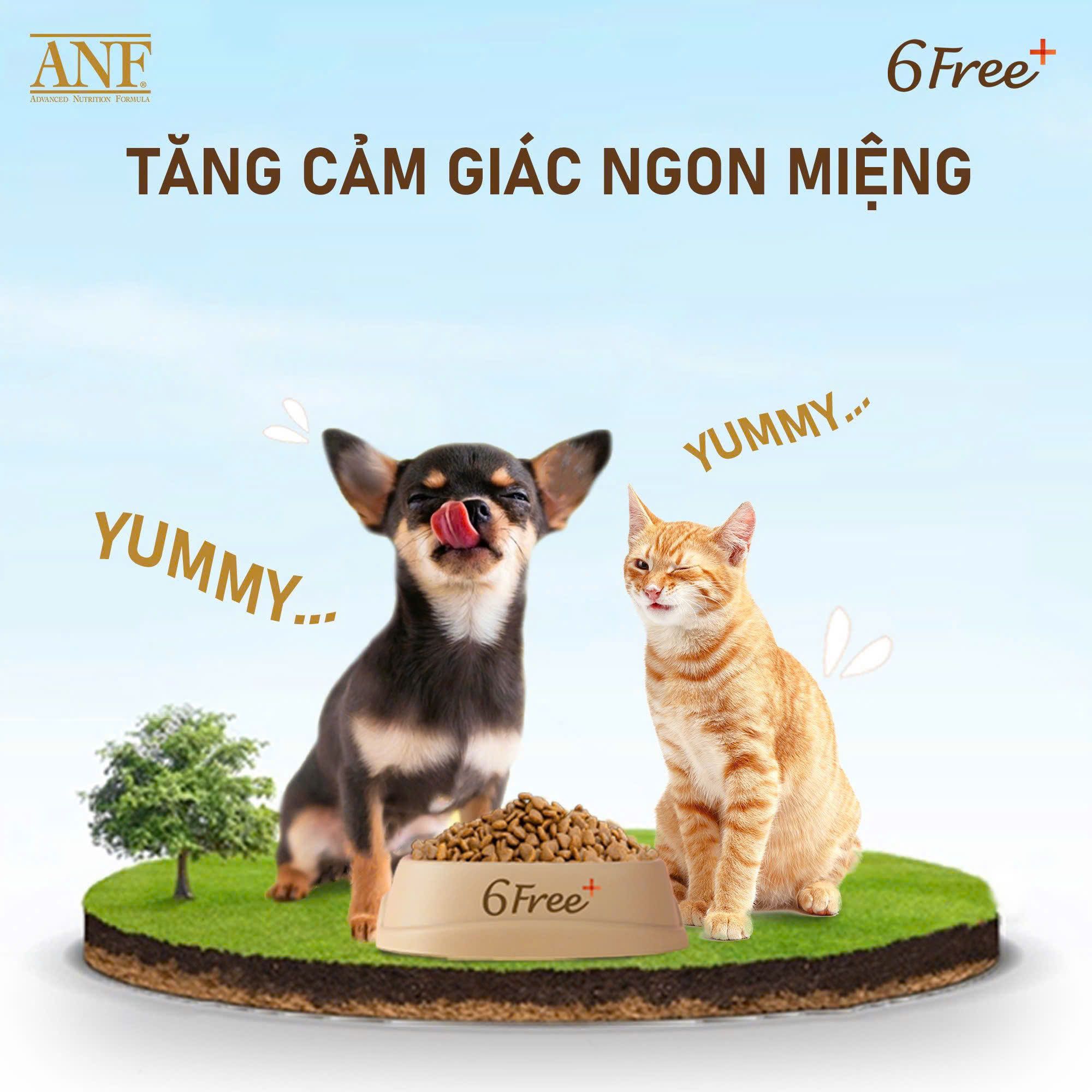  ANF 6Free For Dog - Thức ăn hạt hữu cơ cho chó vị Vịt 