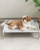  Giường thảm nằm mát cho chó mèo Dfang 