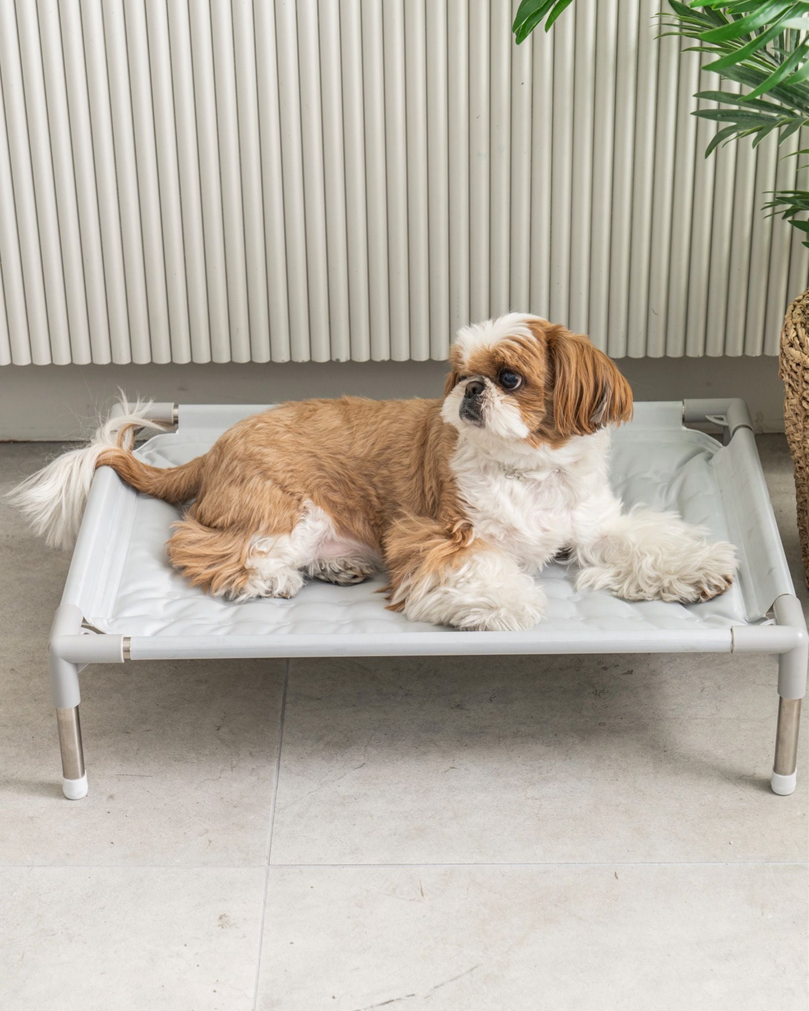  Giường thảm nằm mát cho chó mèo Dfang 