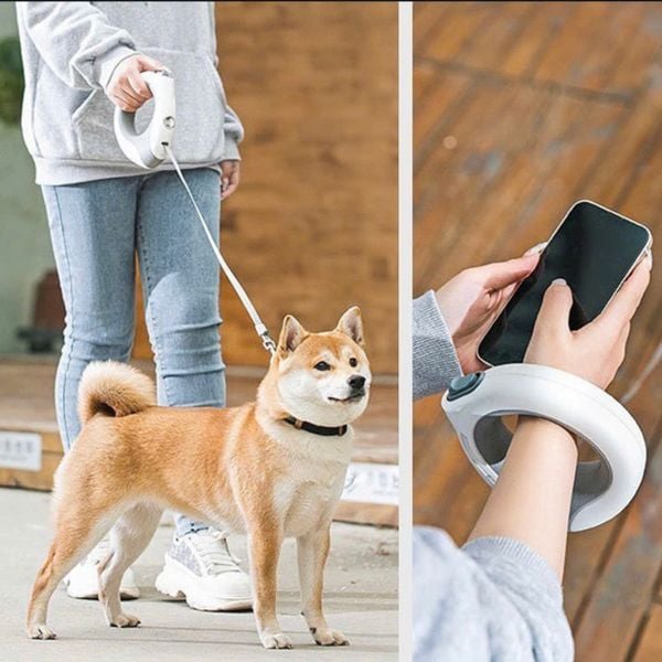  Dây dắt tự động Hipi dog 