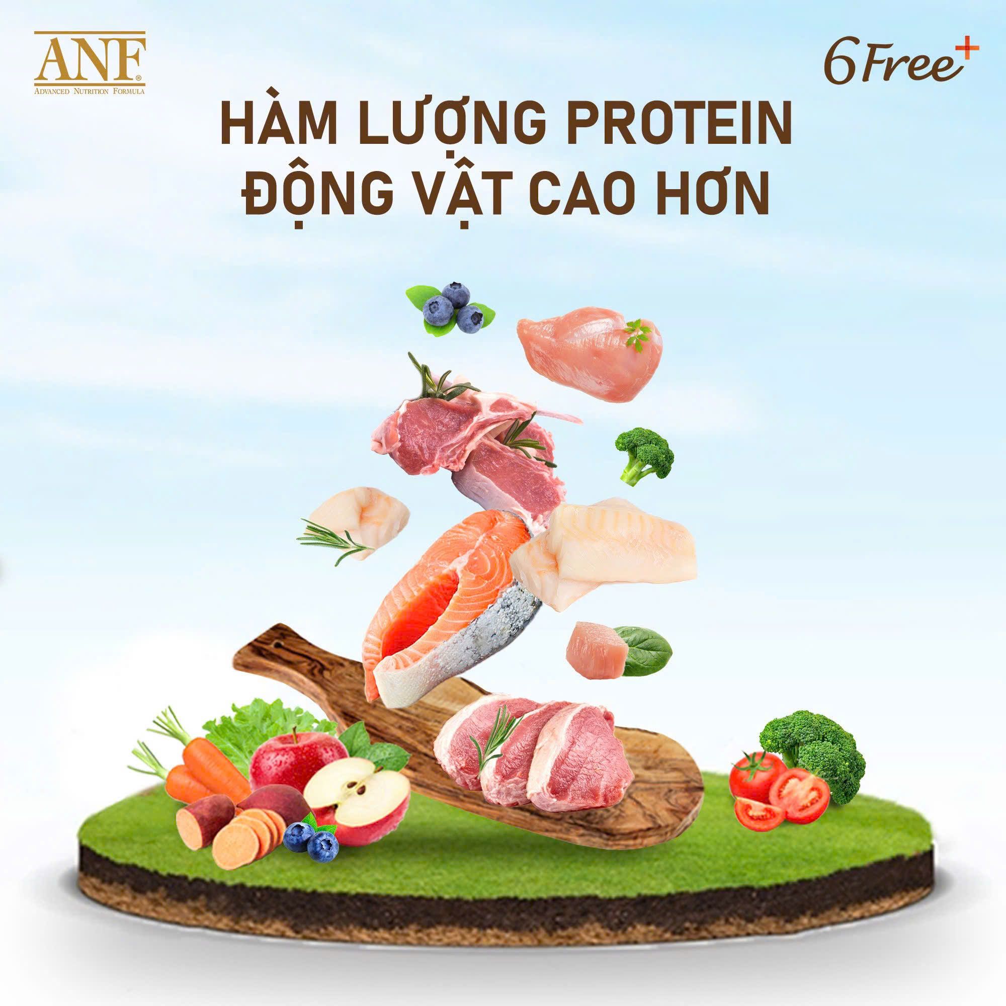  ANF 6Free For Dog - Thức ăn hạt hữu cơ cho chó vị Vịt 