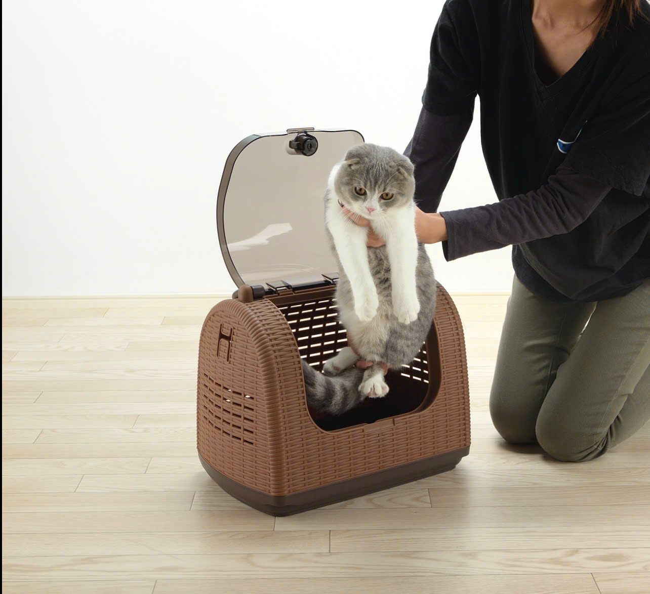  Lồng vận chuyển thú cưng giả mây đan Richell 