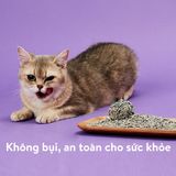  Cát vệ sinh hỗn hợp cho mèo PETKIT 