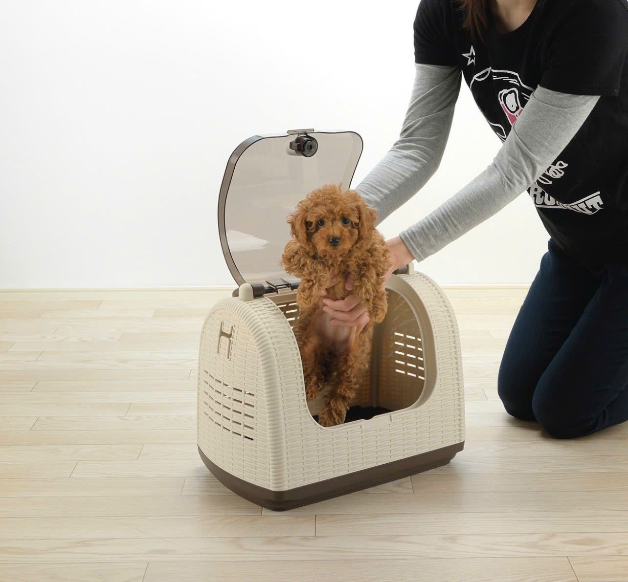  Lồng vận chuyển thú cưng giả mây đan Richell 