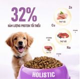  Hạt ANF Holistic Absolute dinh dưỡng cho chó 