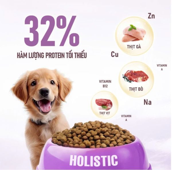  Hạt ANF Holistic Absolute dinh dưỡng cho chó 