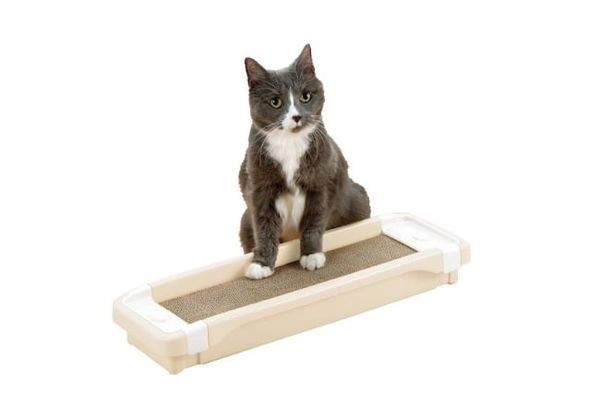  Bàn cào móng cho mèo Richell 