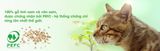  Cát vệ sinh hữu cơ cho mèo CatsBest Sensitive 