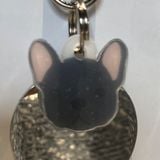  Nametag Bull Pháp Của Chó (Nhựa) 