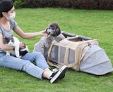  Xe kéo 2 ngăn Do Do Pet dành cho thú cưng 