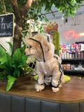  Áo mưa trong suốt cho thú cưng 