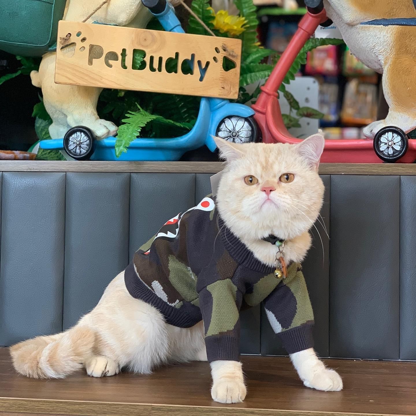  Áo len hình đầu lân Bape 