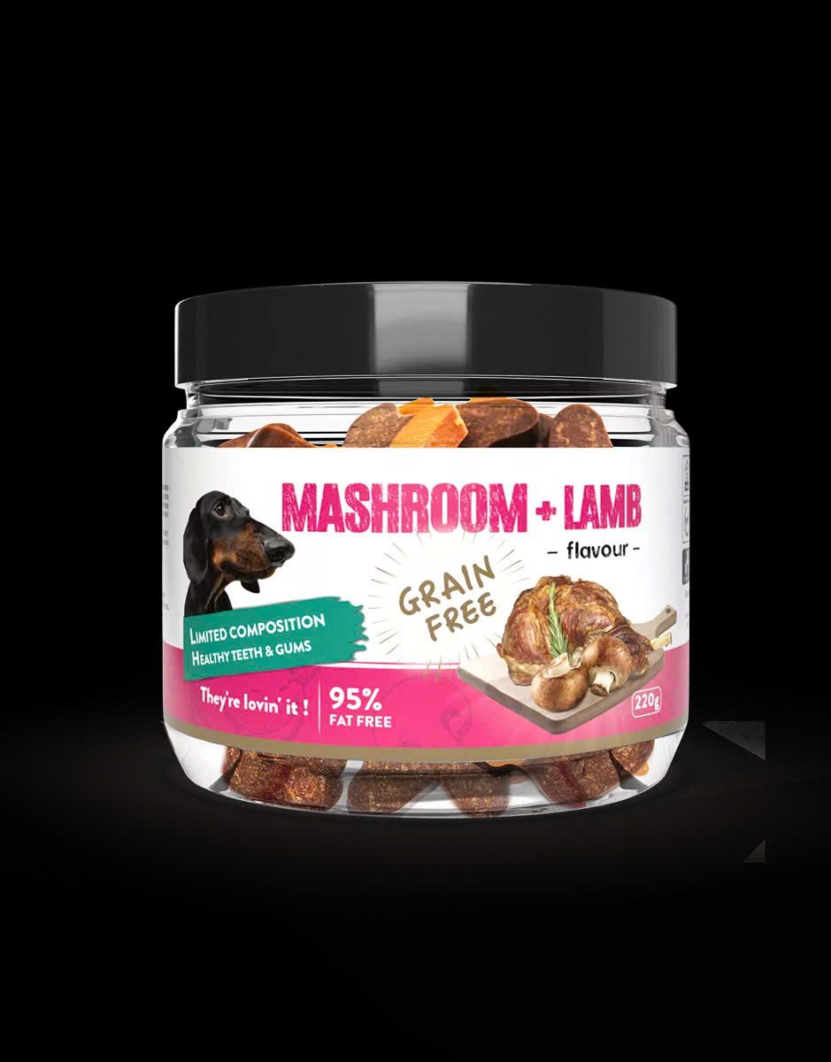  THANH THƯỞNG HOWBONE - DOG SNACKS Training Bite 