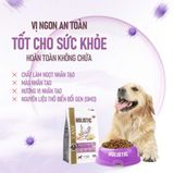  Hạt ANF Holistic Absolute dinh dưỡng cho chó 
