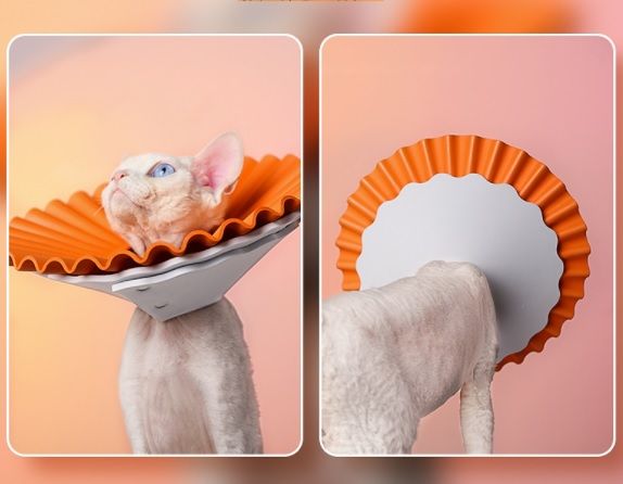  Vòng chống liếm không thấm nước 