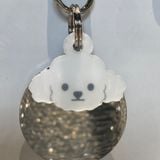  Nametag Poodle Của Chó (Nhựa) 