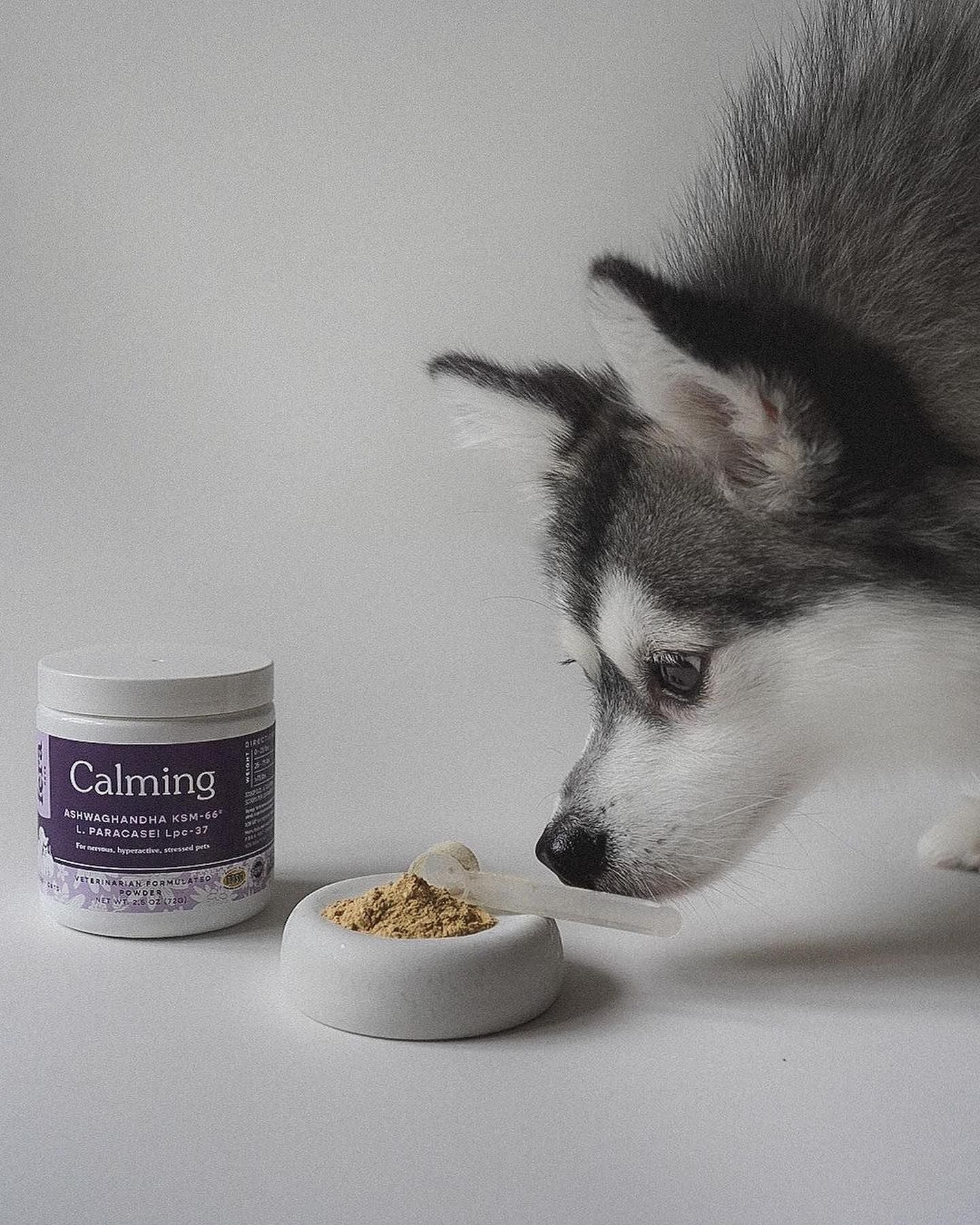  Bột hỗ trợ giảm stress cho chó mèo –Fera Pets Orgarnics Calming 