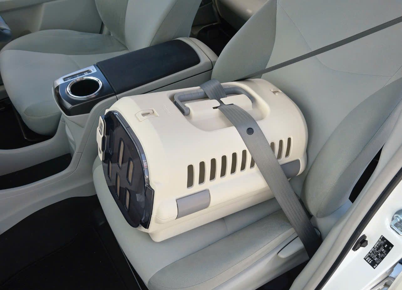  Lồng vận chuyển thú cưng size M Richell 