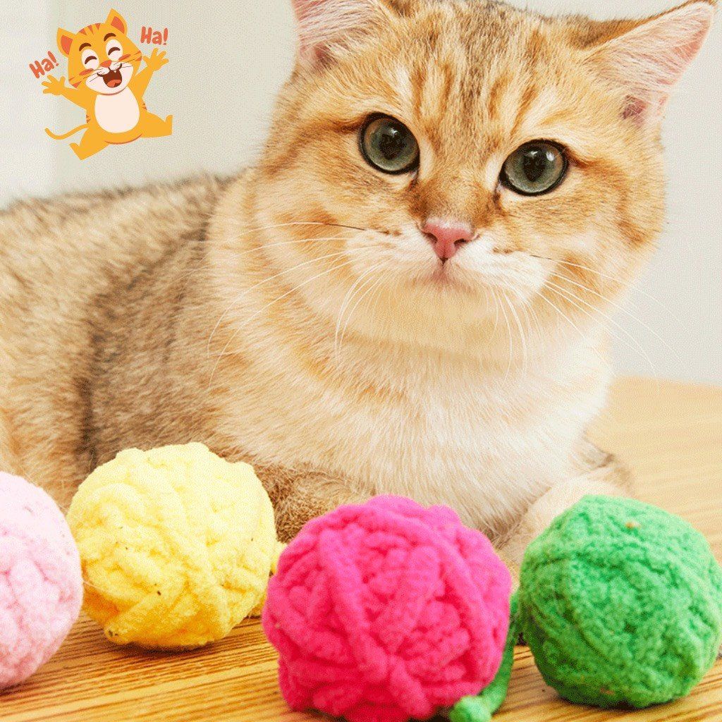  Đồ chơi cho mèo FOFOS hình quả bóng 