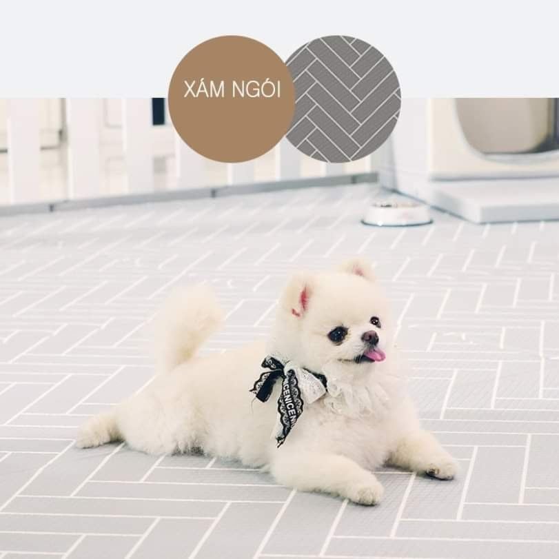  Thảm nhảy chống trượt Dfang 