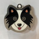  Nametag Border Collie Của Chó (Inox) 