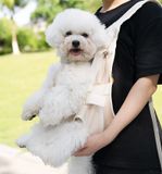  Địu dành cho thú cưng hãng DONO'S DIARY 