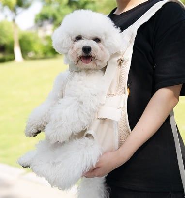  Địu dành cho thú cưng hãng DONO'S DIARY 