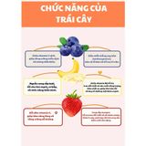  Bánh thưởng sữa chua & trái cây 