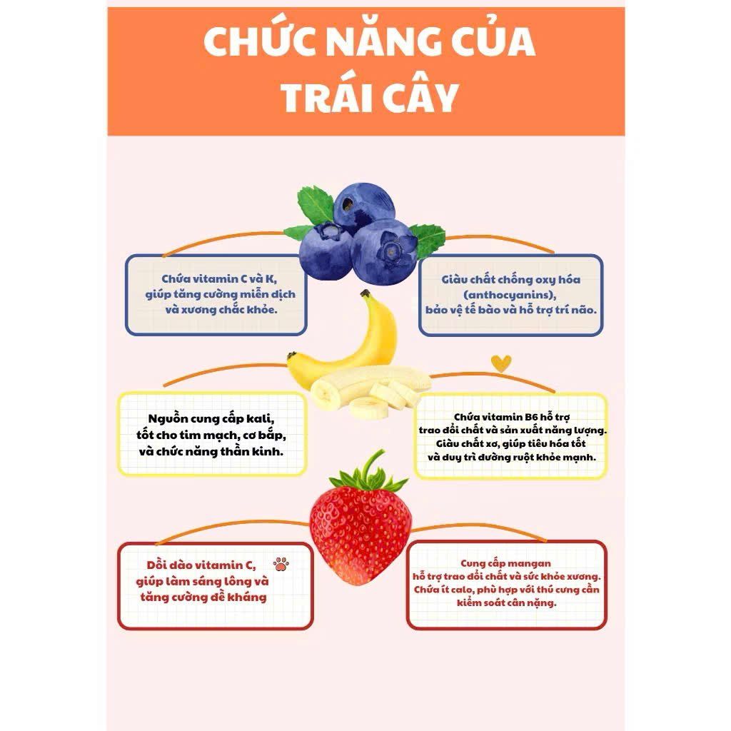  Bánh thưởng sữa chua & trái cây 