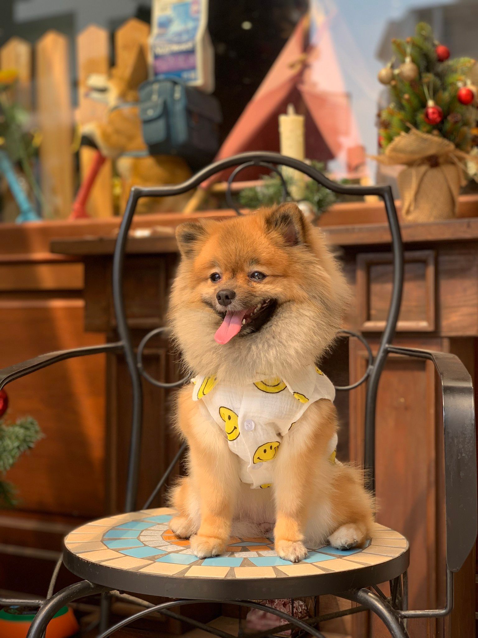  Áo Smiley Tanktop I Am Dog 
