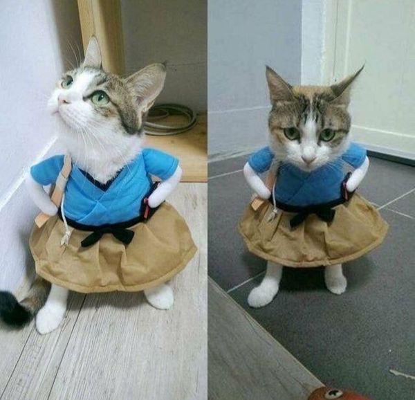  Đồ hoá trang ninja 