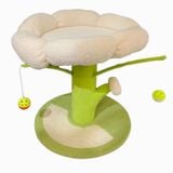  Trụ cào móng hoa trắng 