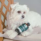  Dầu cá thuần chay Fera Pets Vegan Omega - 3,6,9s Algae Oil 