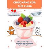  Bánh thưởng sữa chua & trái cây 