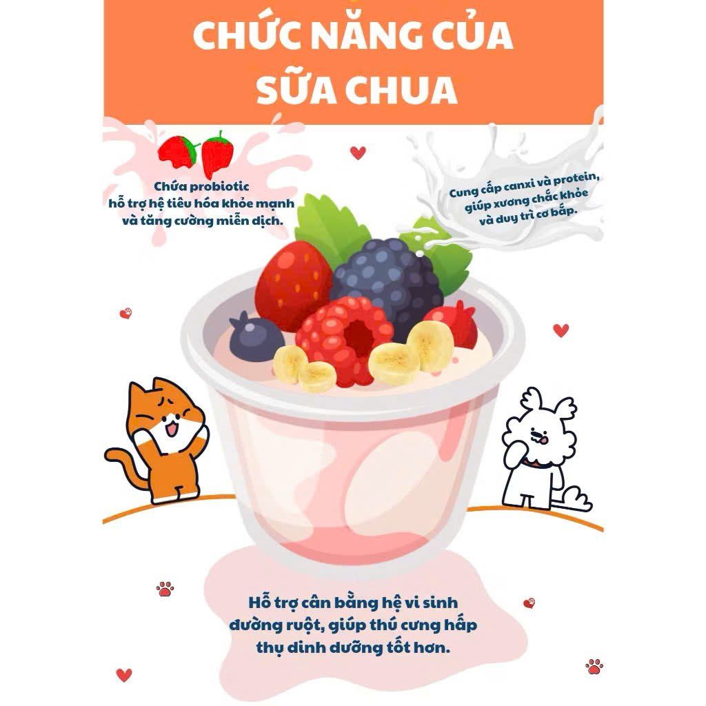  Bánh thưởng sữa chua & trái cây 