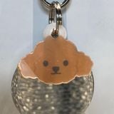  Nametag Poodle Của Chó (Nhựa) 