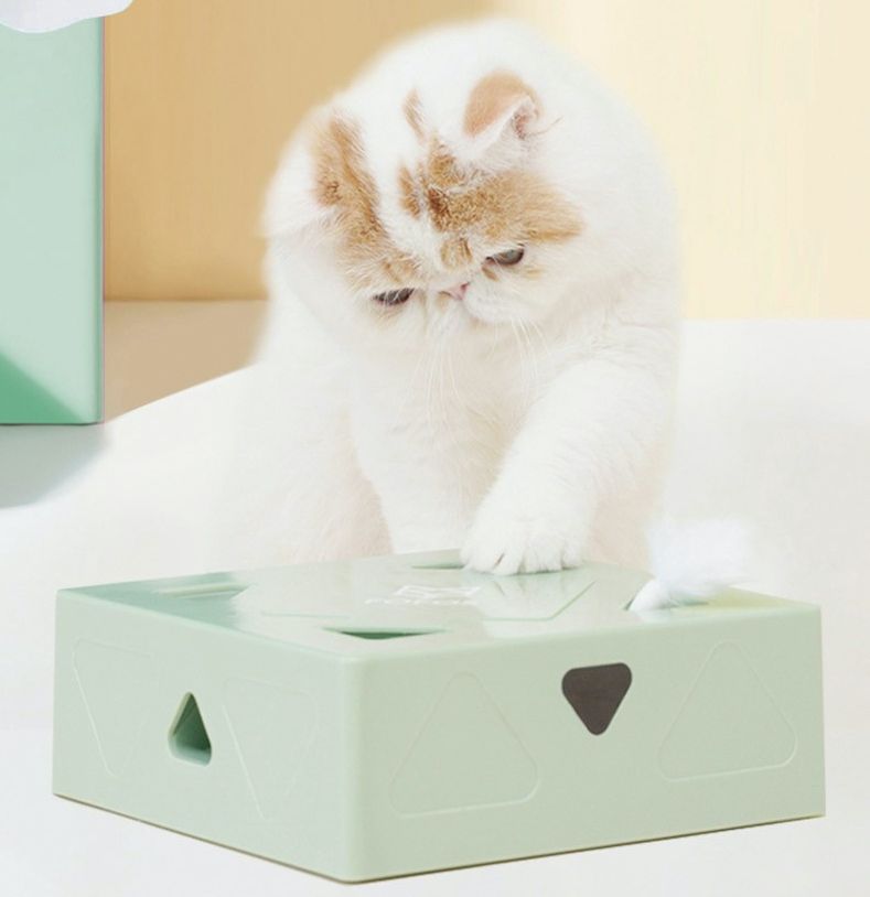  Hộp đồ chơi tương tác cho mèo 