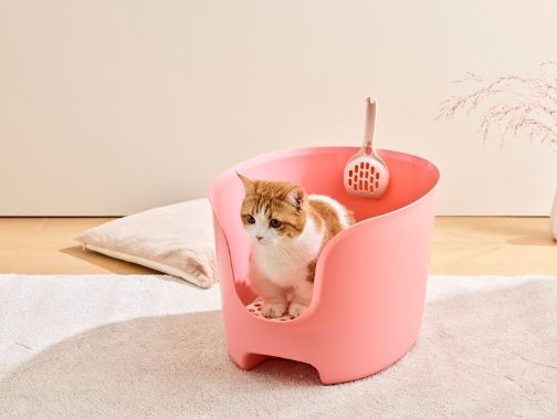  Khay vệ sinh thành cao chống văng cát cho mèo kèng xẻng Richell 