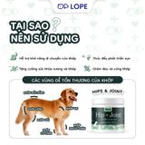  HIP & JOINTS - VIÊN NHAI DẺO CHO CÚN FERA PET ORGANICS 