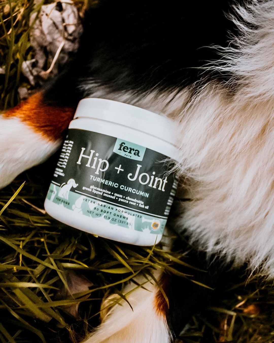  HIP & JOINTS - VIÊN NHAI DẺO CHO CÚN FERA PET ORGANICS 