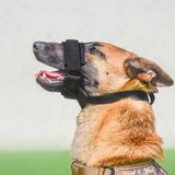  Rọ mõm cho chó thoáng khí điều chỉnh được 